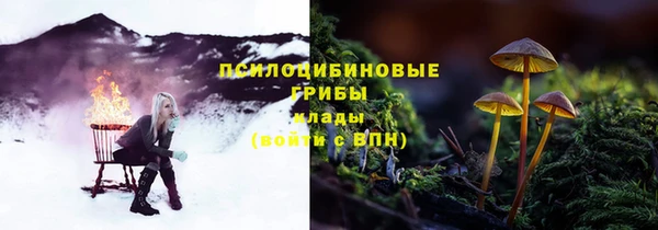 бутират Гвардейск