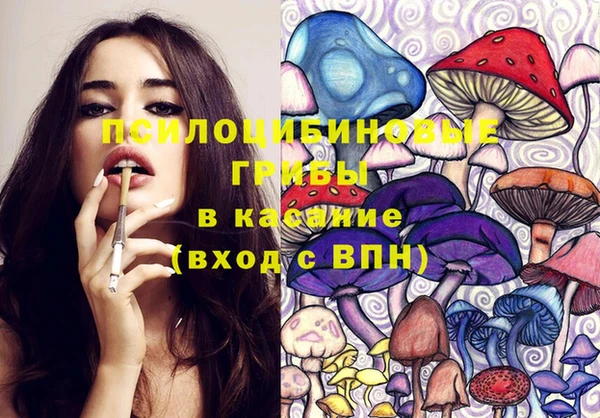 спиды Пестово